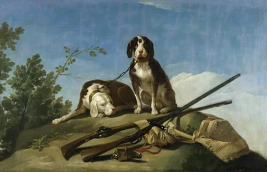 Chiens et accessoires de chasse